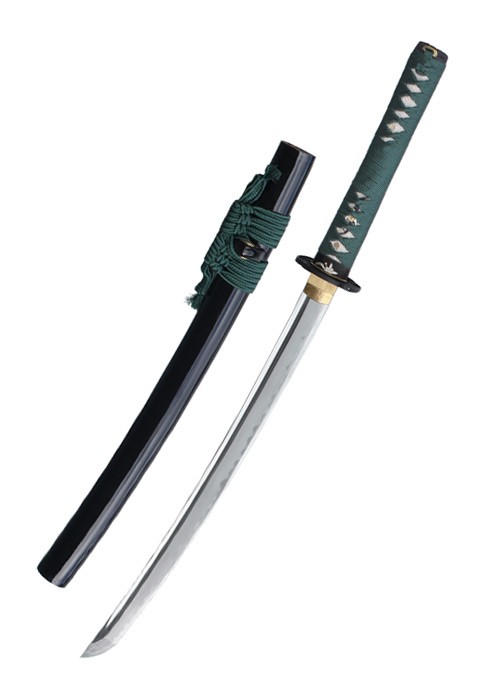 foto John Lee Ten Kei Wakizashi